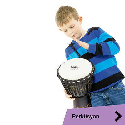 Perküsyon ürünleri